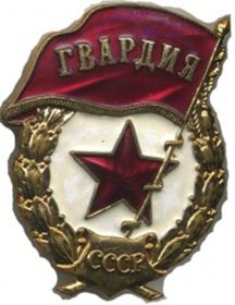 Знак Гвардия