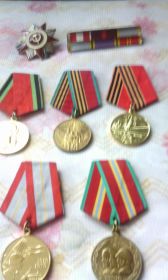 Орден Отечественной войны, юбилейные медали