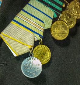 Медали: За боевые заслуги,  За оборону Кавказа, За оборону Севастополя (лента), За взятие Кёнигсберга, За победу над Германией