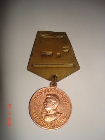 Медаль за победу над Германией в Великой Отечественной войне 1941-1945 годов
