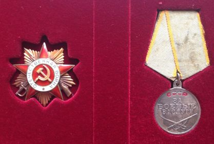 Орден Отечественной войны 1 степени и медаль за Боевые заслуги