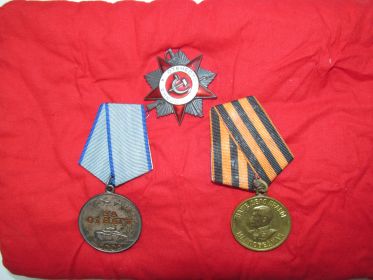 Орден, Великой Отечественной войны i степени, медали За отвагу, За победу над Германией