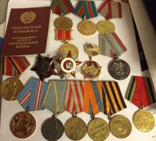 Ордена и медали за боевые заслуги