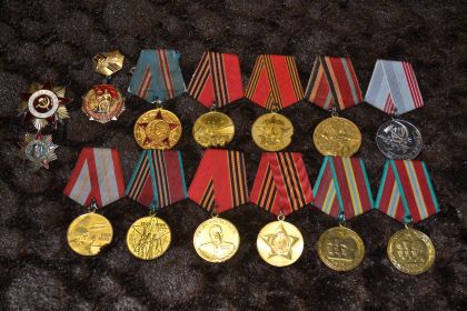 Сохранившиеся медали и ордена Амирова И.У.