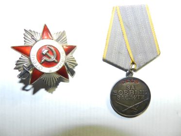 медаль  “ За боевые заслуги “ , “ За победу над Германией “
