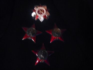 Ордена Красной звезды и Отечественной войны 2 степени.