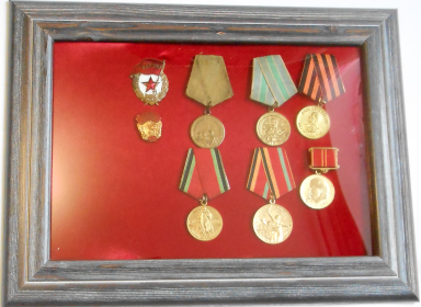 Медали рядового Шлыкова Алексея Федоровича