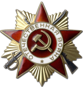 Орден Отечественной войны 1 степени.Дата наградного документа 1.08.1986.(№46)