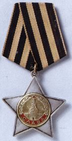 Орден "СЛАВЫ" II степени № 344147