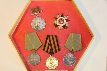 "Орден Отечественной войны, Медали "  За отвагу"и " За боевые заслуги."