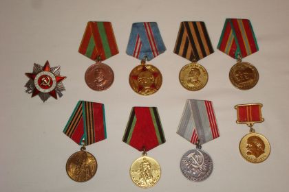 Медали Зяблова Григория Георгиевича