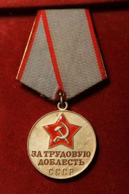 Медаль За трудовую доблесть