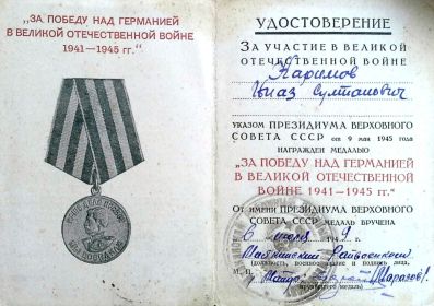 орден за победу над Германией