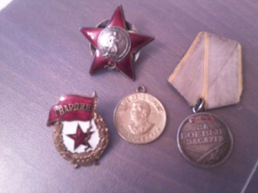 Боевые награды: Орден Красной Звезды, Медали: За боевые заслуги,За победу над Германией,За участие в штурме и взятии Кенигсберга.