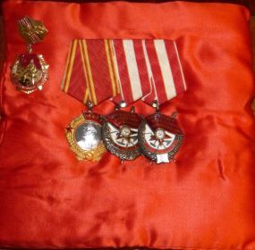 Ордена: Орден Ленина 103956, орден Красного Знамени 19853, орден Красного Знамени 25879