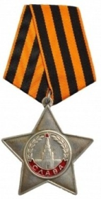 Орден Славы 3 степени № 617411
