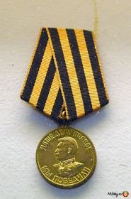 медаль за победу над германией фото