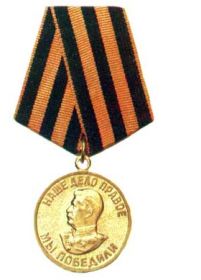Медаль “За победу над Германией в Великой Отечественной войне 1941-1945 гг.”