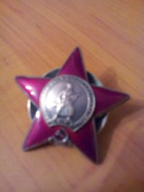 Орден Красной Звезды, Орден Отечественной войны 2 степени