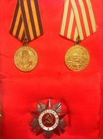 Медаль за победу над Германией, медаль за оборону Москвы, орден Отечественной войны