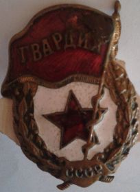 Нагрудной Знак "Гвардия" СССР