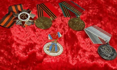 Награды за участие в ВОВ: Орден Отечественной войны II степени, юбилейные награды
