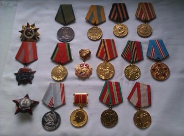 Награды Думенко П.И.