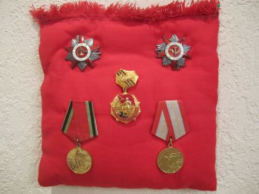 2 Ордена Отечественной Войны  2-й степени" и юбилейные медали