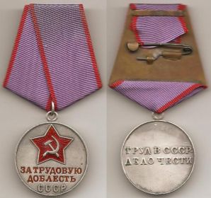 Медаль"За трудовую доблесть"