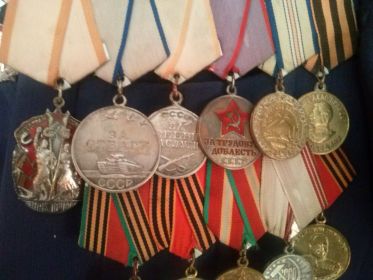 медали:  "Знак почета", "За отвагу", "За боевые заслуги", "За трудовую доблесть", "За оборону Кавказа", "За победу над Германией в ВОВ"