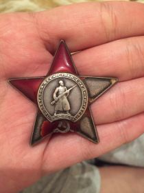 Орден "Красной звезды" в руках внука, Батырова Нуржана