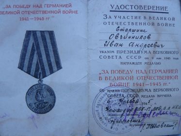 Медаль за победу над Германией в Великой Отечественной войне 1941-1945гг.