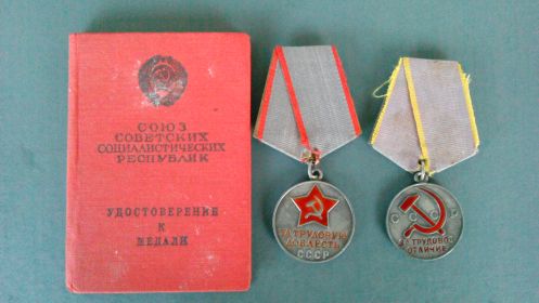 Медали "За трудовую доблесть" и "За трудовое отличие"