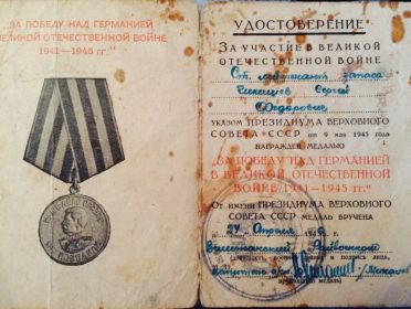 Медаль За Победу над Германией