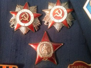медали: "Отечественной войны I степени", "Отечественной войны II степени", "Красной звезды"
