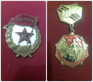 Советский гвардейский знак; Медаль 25 лет Победы ВОВ