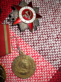 Орден Отечественной войны II степени,Медаль за победу над Японией.