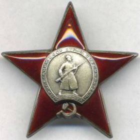 Орден Красной Звезды (Приказ подразделения № 37/н от 18.05.1945, издан 80 сд 1 Украинского фронта)