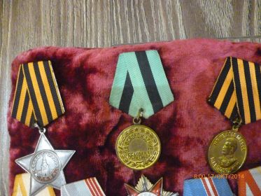 Орден Славы III степени, медаль "За освобождение Белграда", медаль "За победу над Германией"