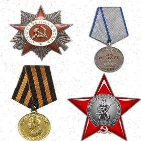 орден "Красной Звезды", медаль "За отвагу", медаль "За победу над Германией", орден "Отечественной Войны" II степени.