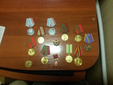 За оборону Ленинграда, Фронтовик и Юбилеи Дня Победы