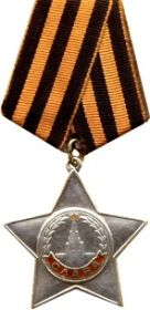 Орден Славы III степени 95/н 17.02.1944