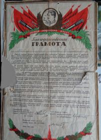 Благодарственная грамота за отличную службу в рядах Красной армии во имя спасения Родины, во имя Победы над врагом