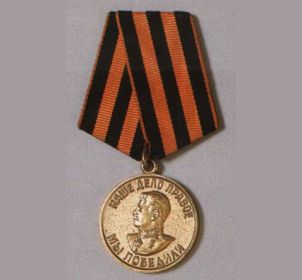 медаль за Победу над Германией в Великой Отечественной Войне 1941-1945 года