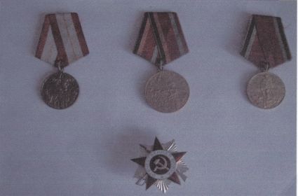 Награды Мельниченко