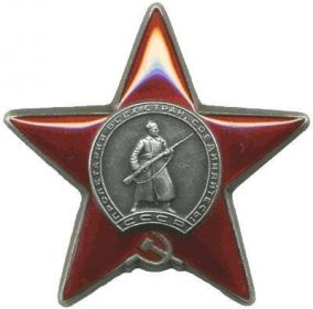 Дата подвига 04.02.1943год. Орден "Красного Знамени"