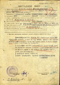 медаль "За отвагу"