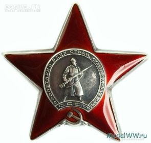 Награждён орденом Красной Звезды за ликвидацию немецких диверсантов, а также медалями "За оборону Ленинграда" и многими другими.
