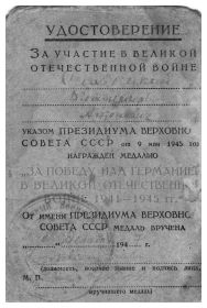 Медаль За Победу над Германией