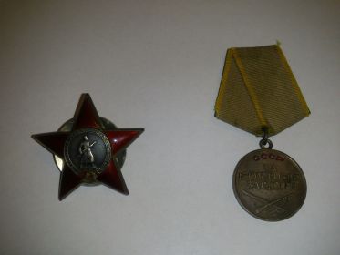Орден Красной звезды и медаль за Боевые заслуги